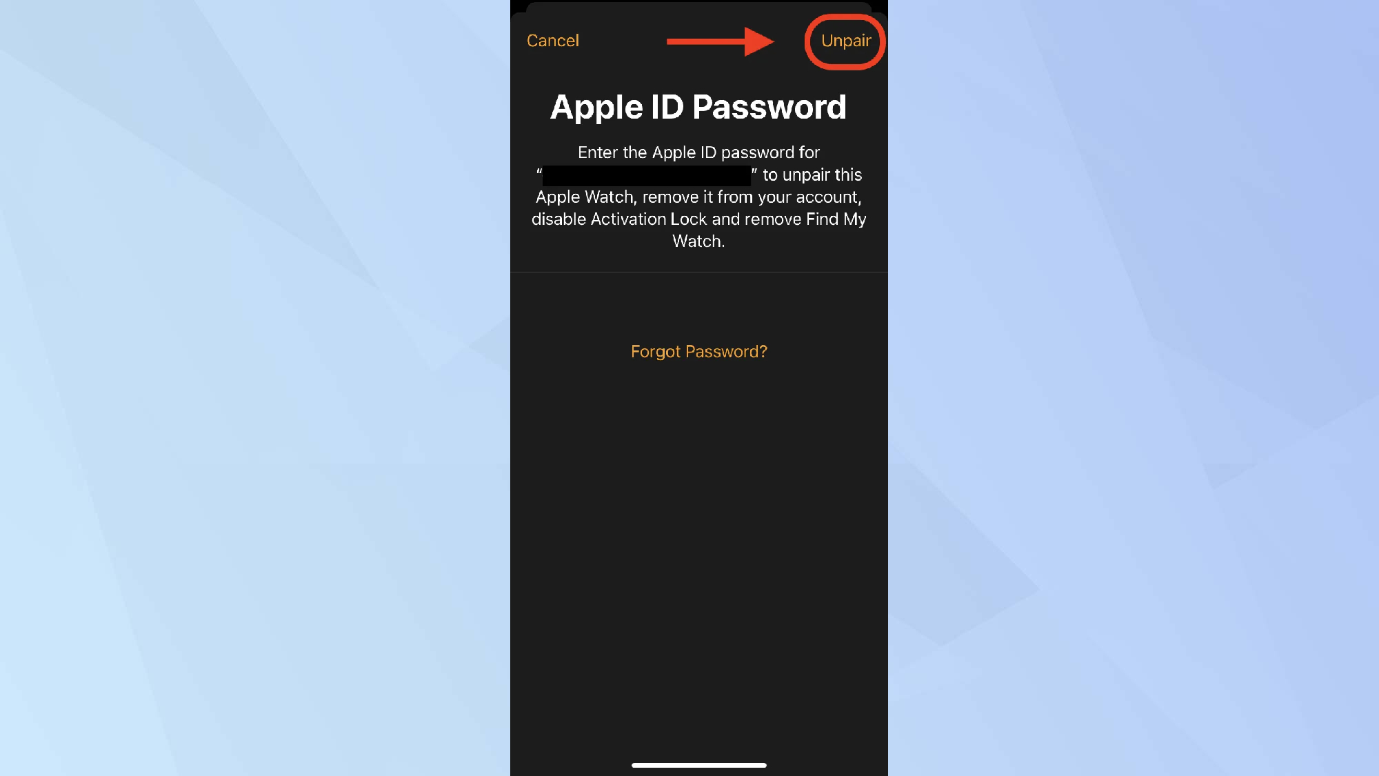 הזן Apple ID