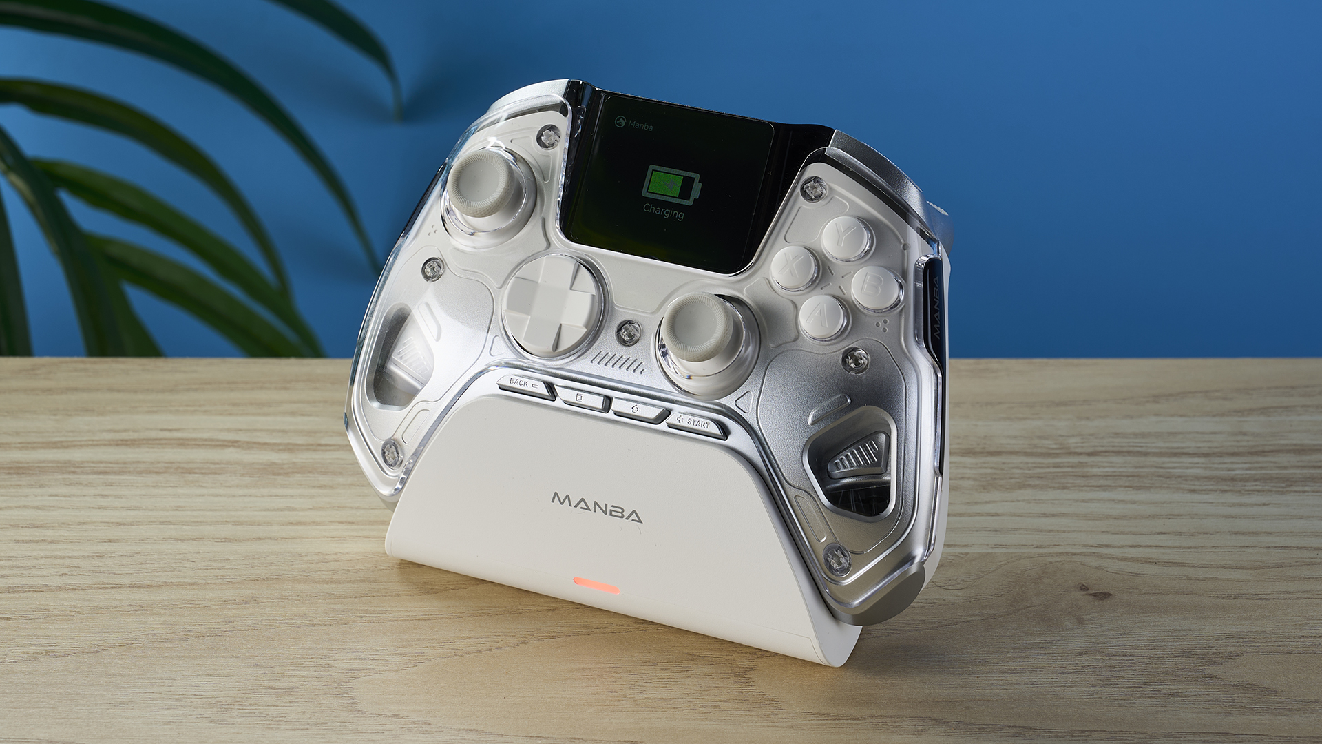 צילום של בקר Manba One