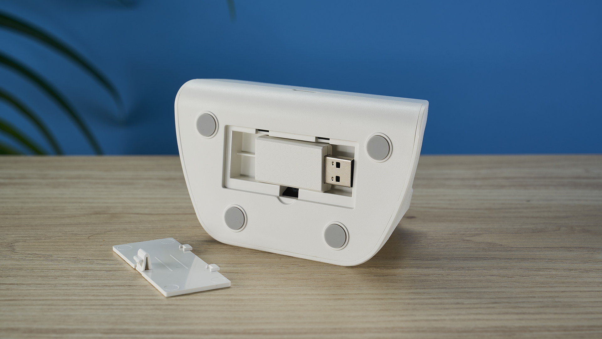 צילום של בקר Manba One