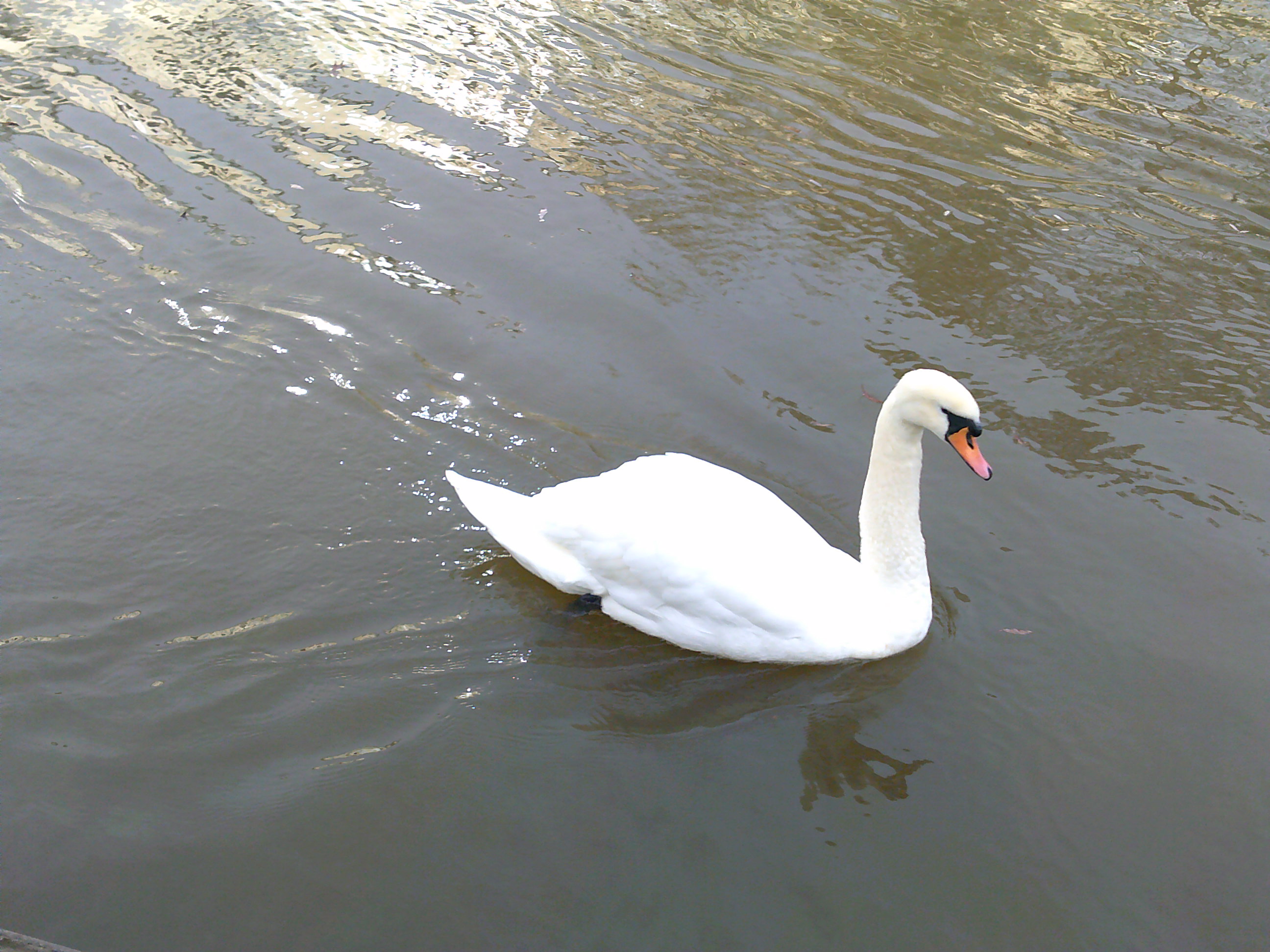 תמונה שצולמה במצלמה קומפקטית של Kodak PIXPRO FZ45