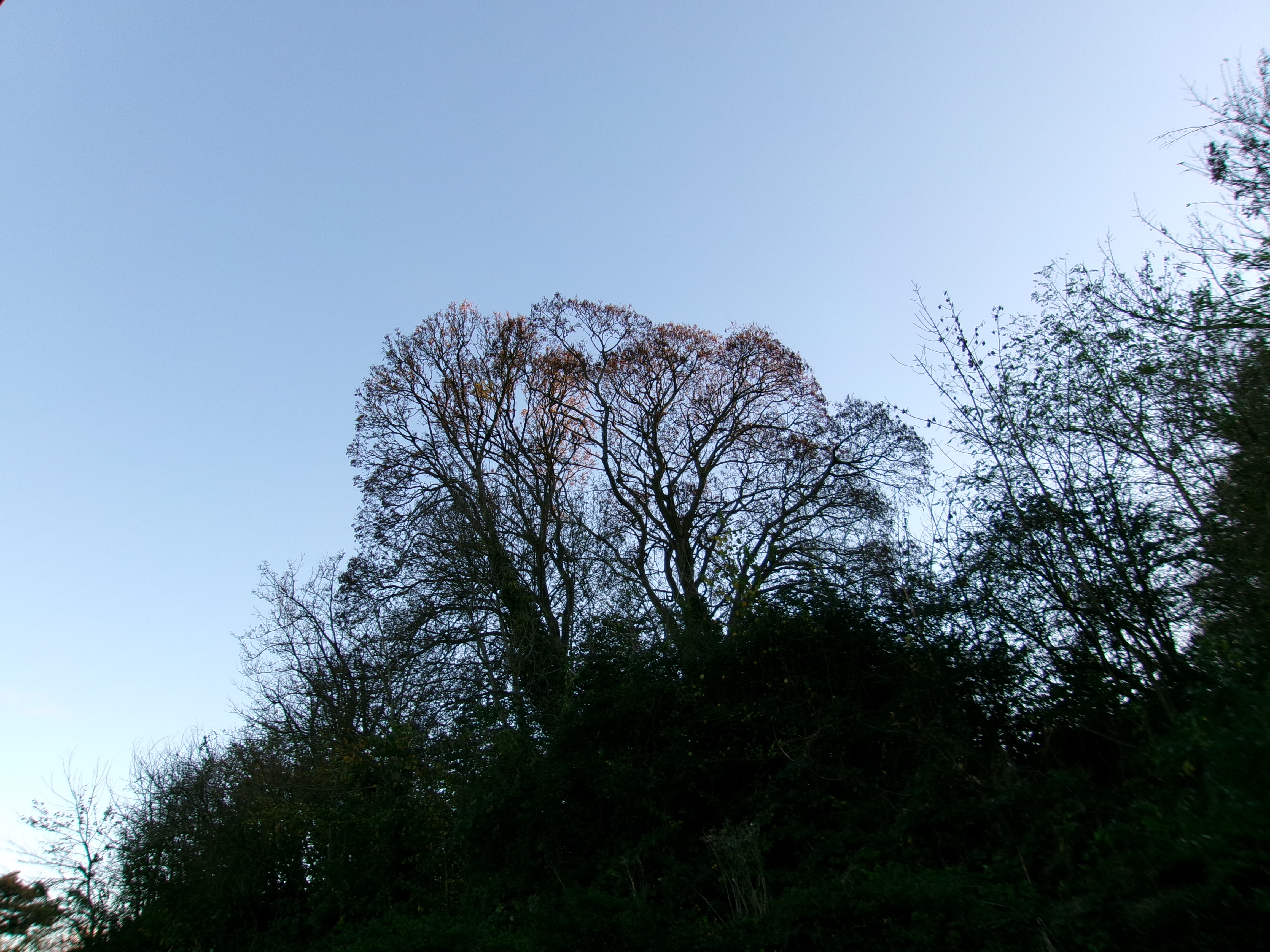 תמונה שצולמה במצלמה קומפקטית של Kodak PIXPRO FZ45