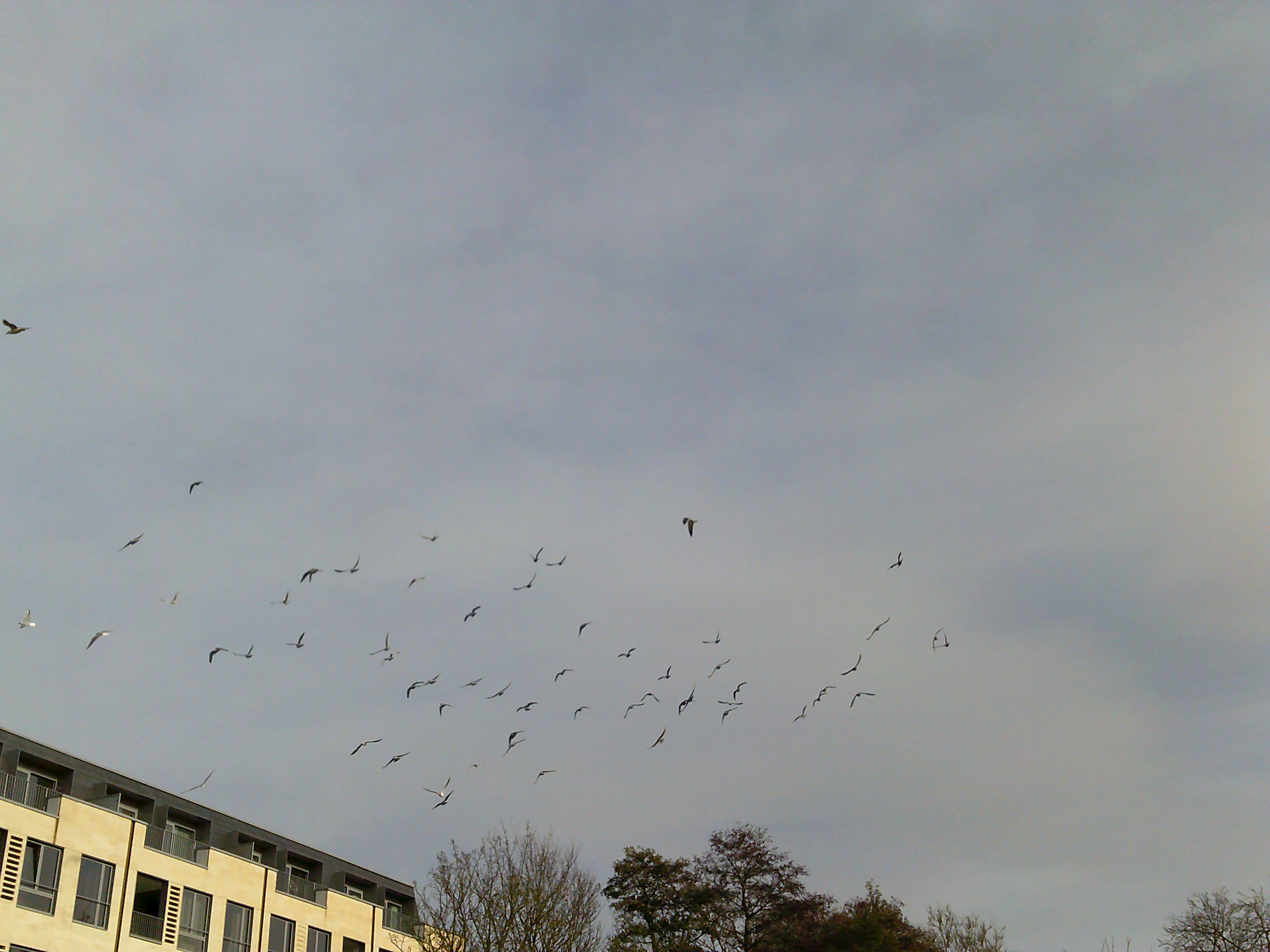 תמונה שצולמה במצלמה קומפקטית של Kodak PIXPRO FZ45