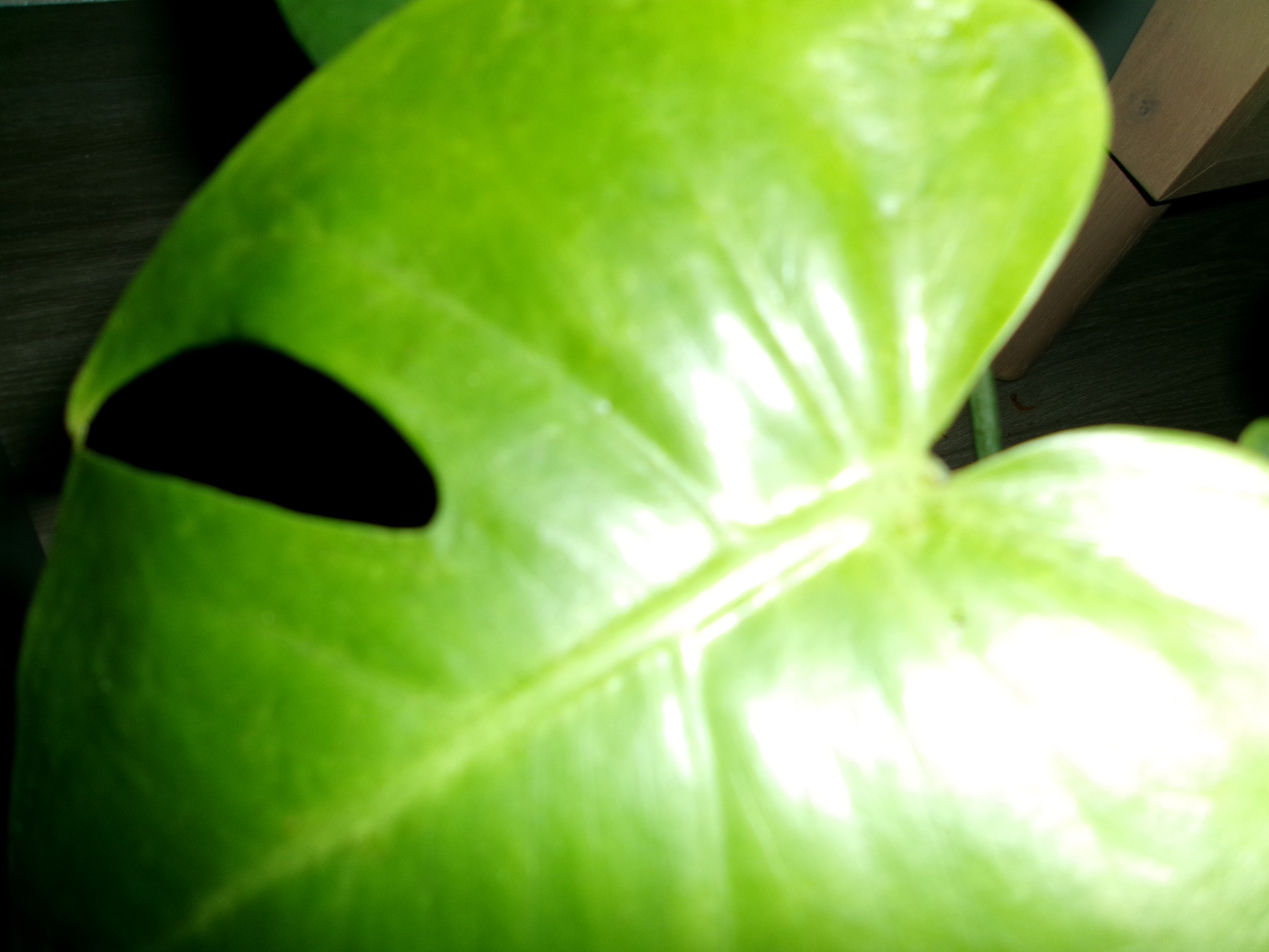 תמונה שצולמה במצלמה קומפקטית של Kodak PIXPRO FZ45