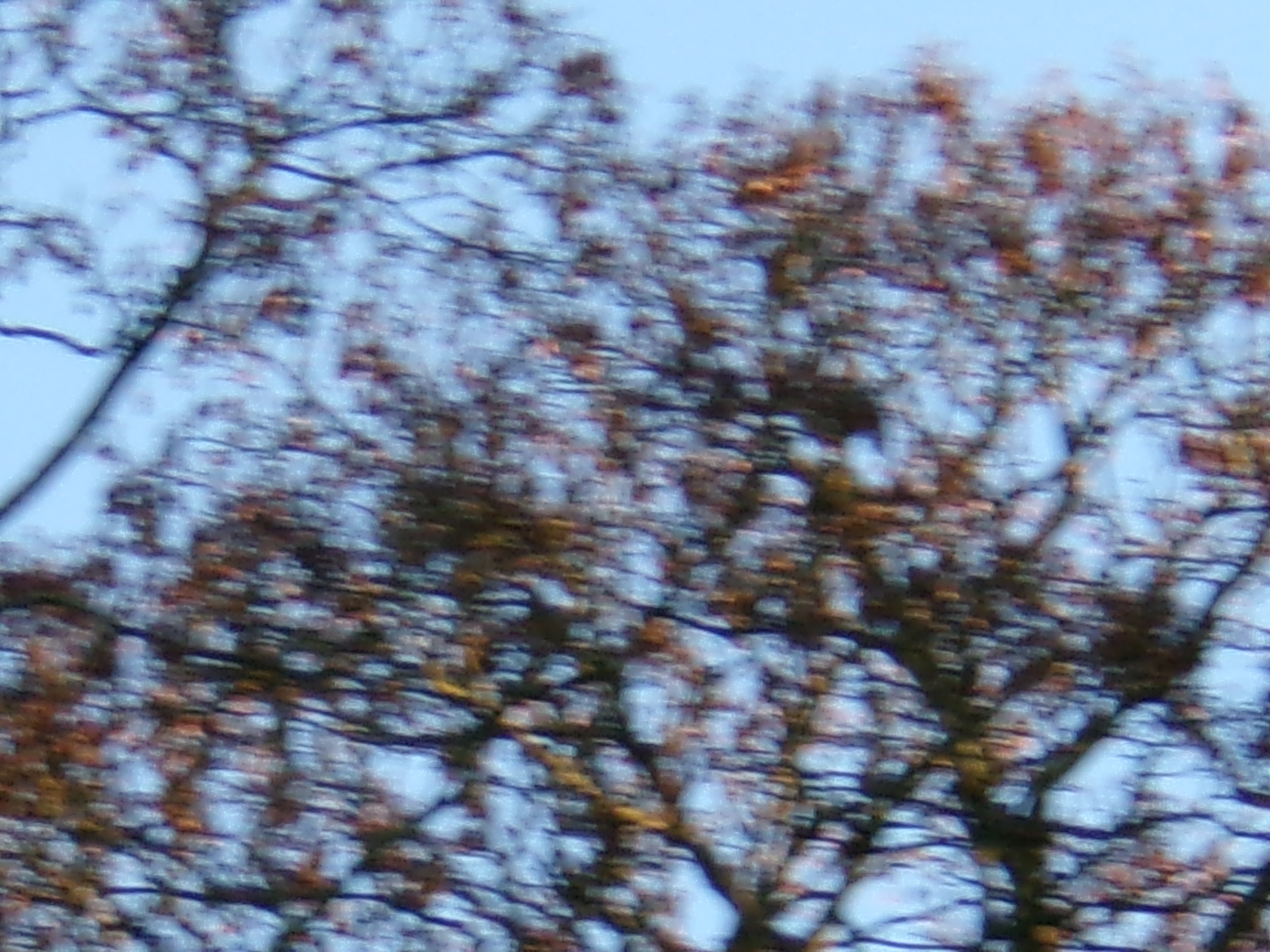 תמונה שצולמה במצלמה קומפקטית של Kodak PIXPRO FZ45