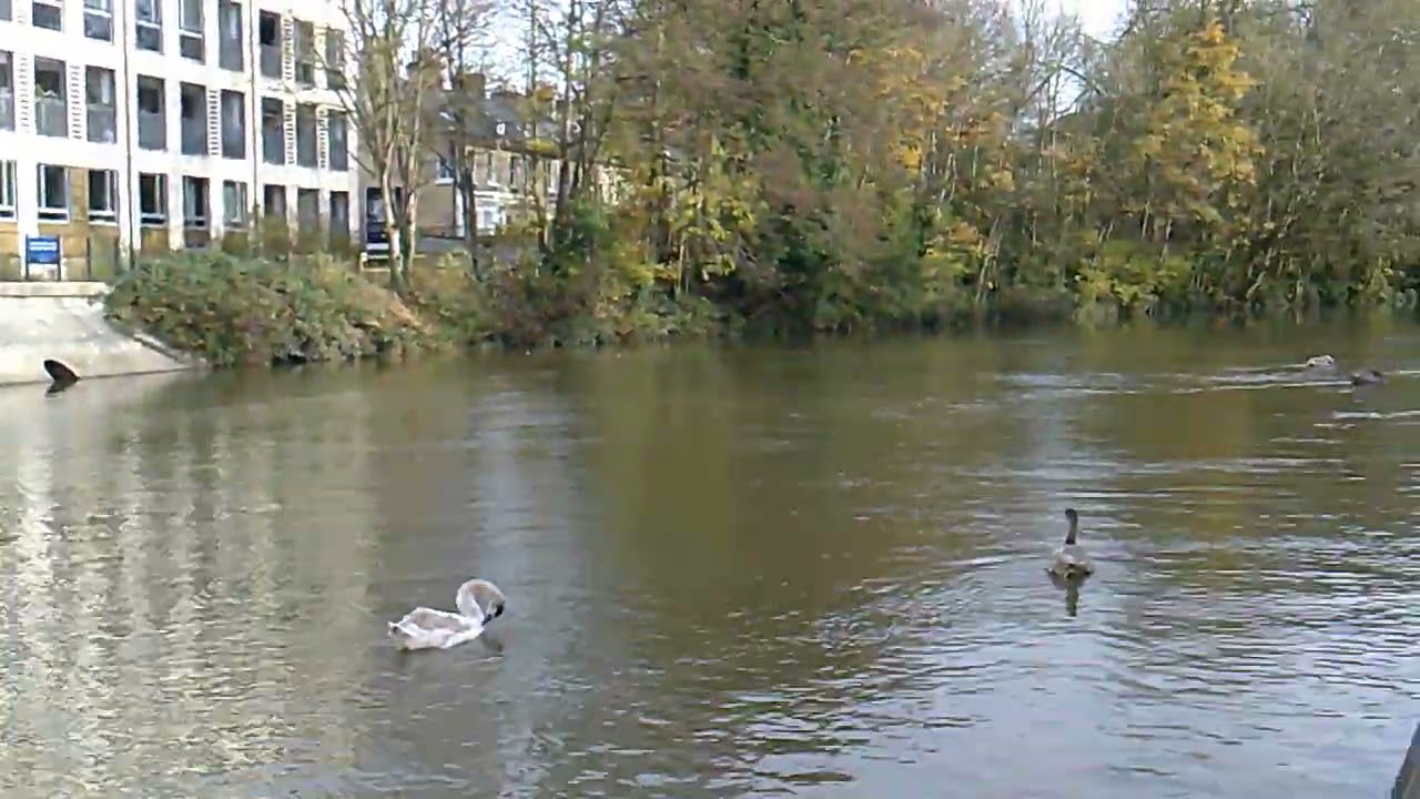 מדגם AgfaPhoto Realishot DC5500 (720p) - YouTube