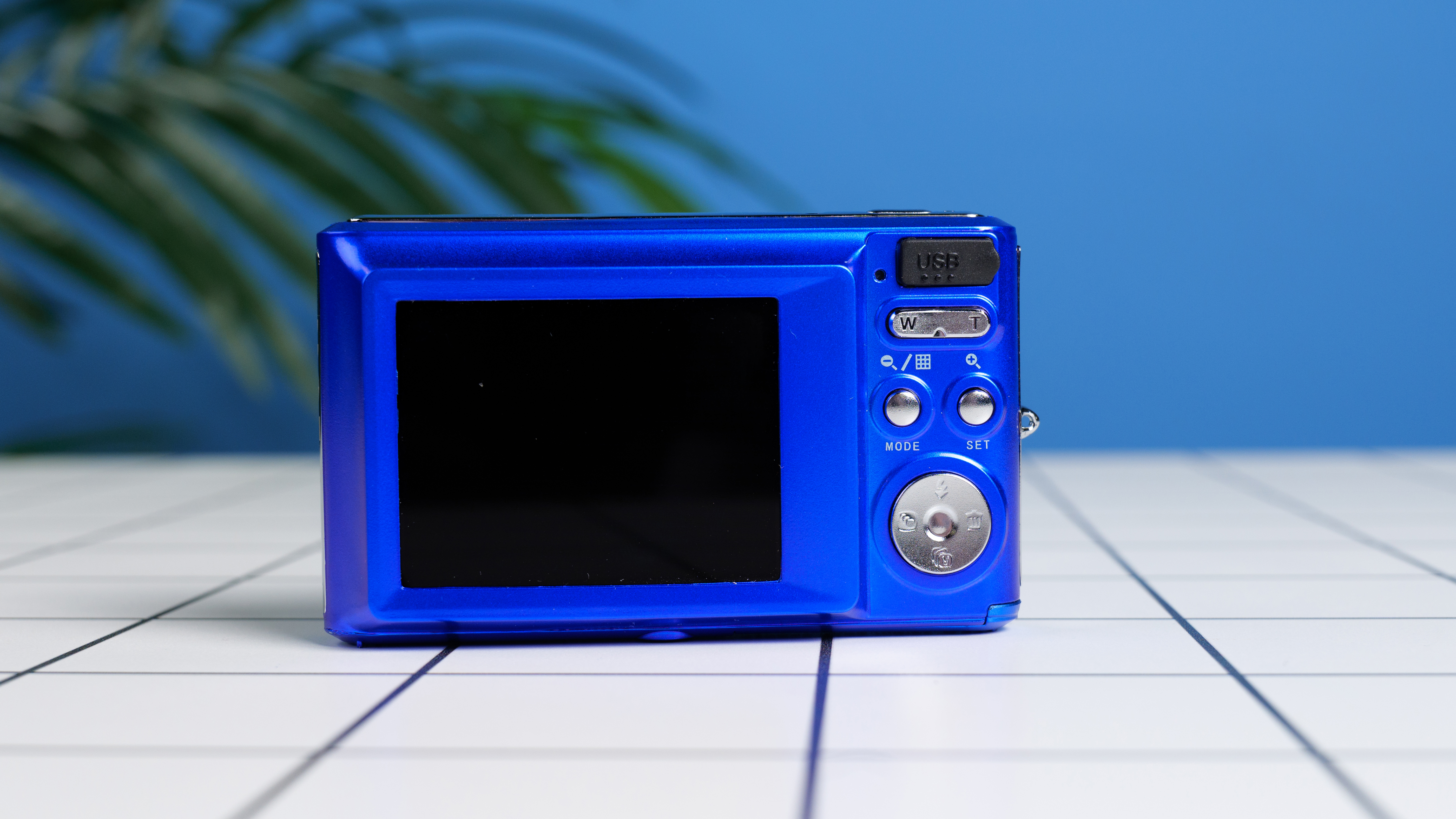 מצלמה קומפקטית AgfaPhoto Realishot DC5500 כחולה