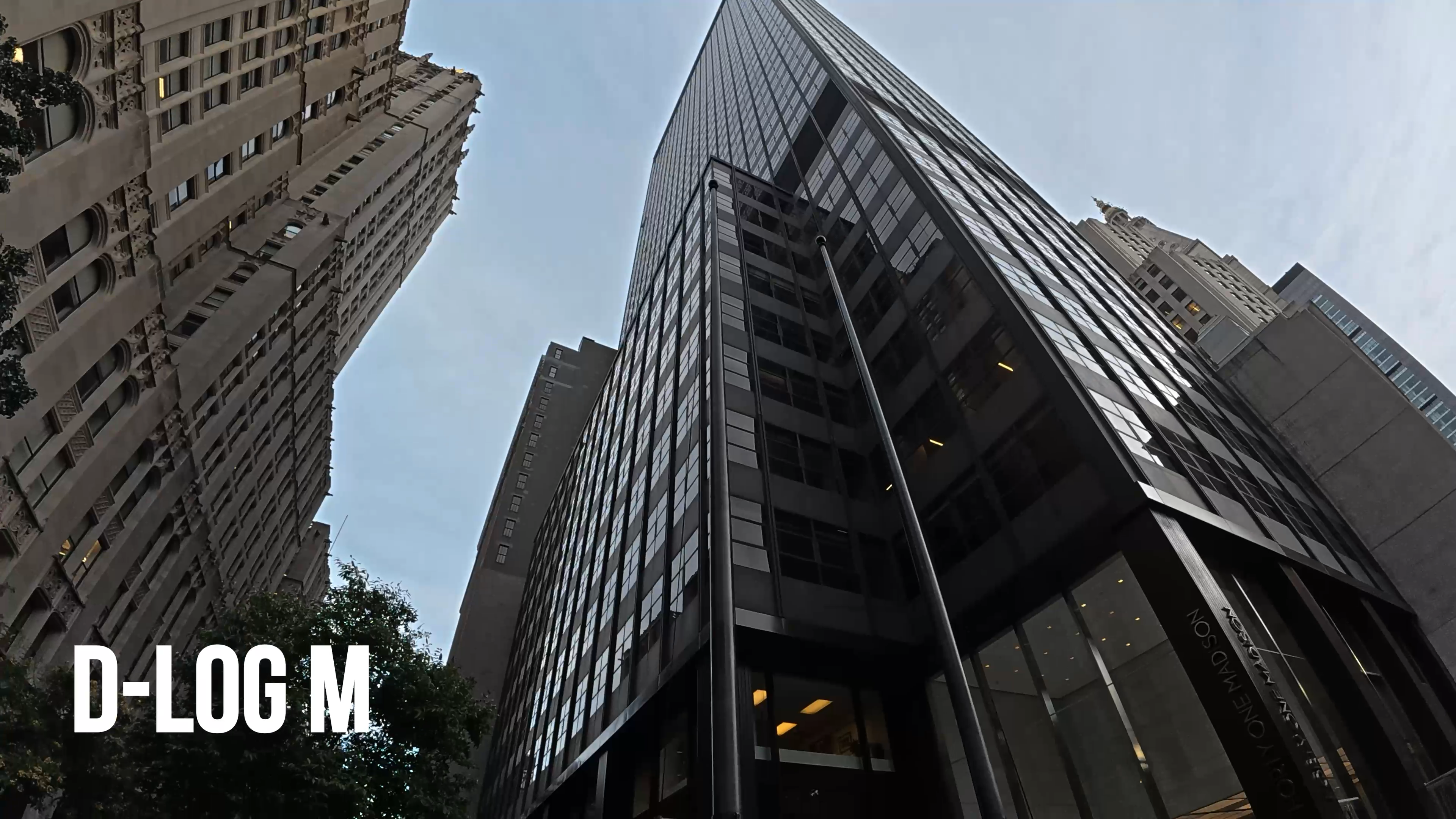 לא מדורג D-LOG M