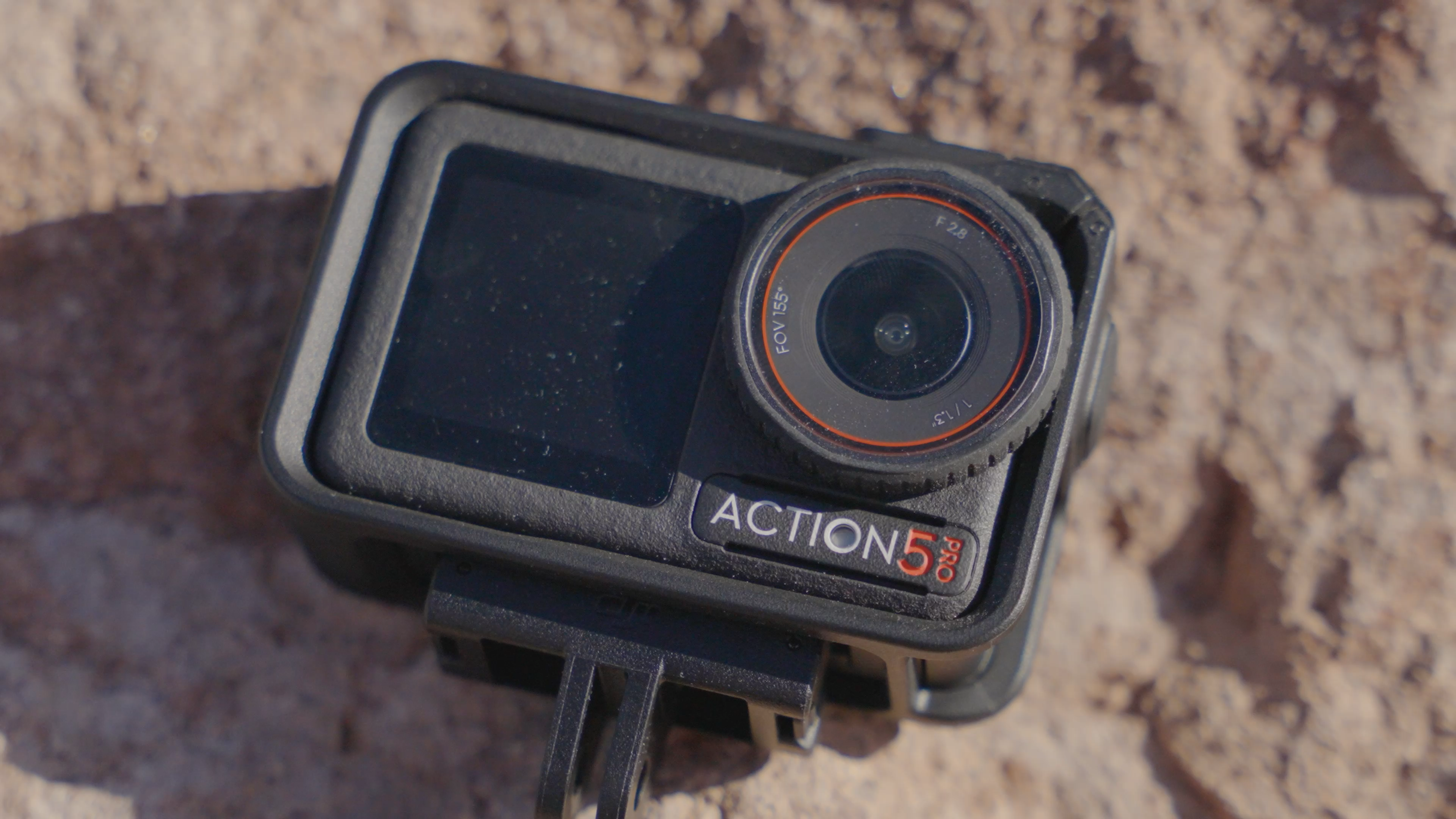 מונח על סלע