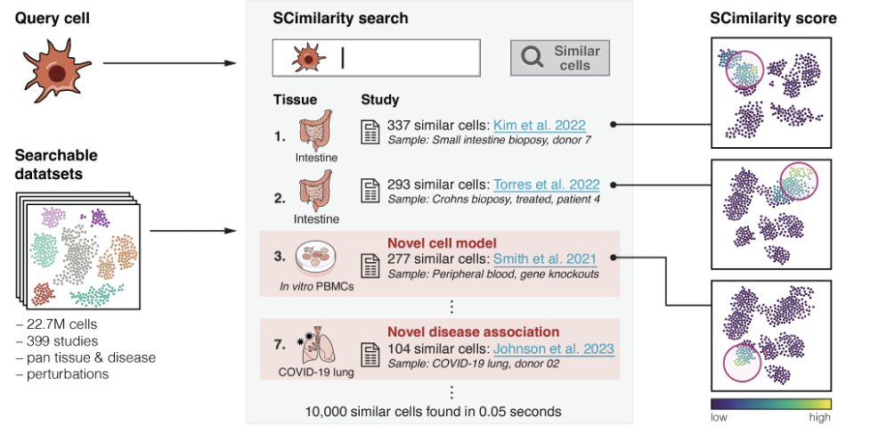 SCimilarity מחוללת מהפכה בניתוח נתונים של תא בודד עם השוואות מהירות בין רקמות