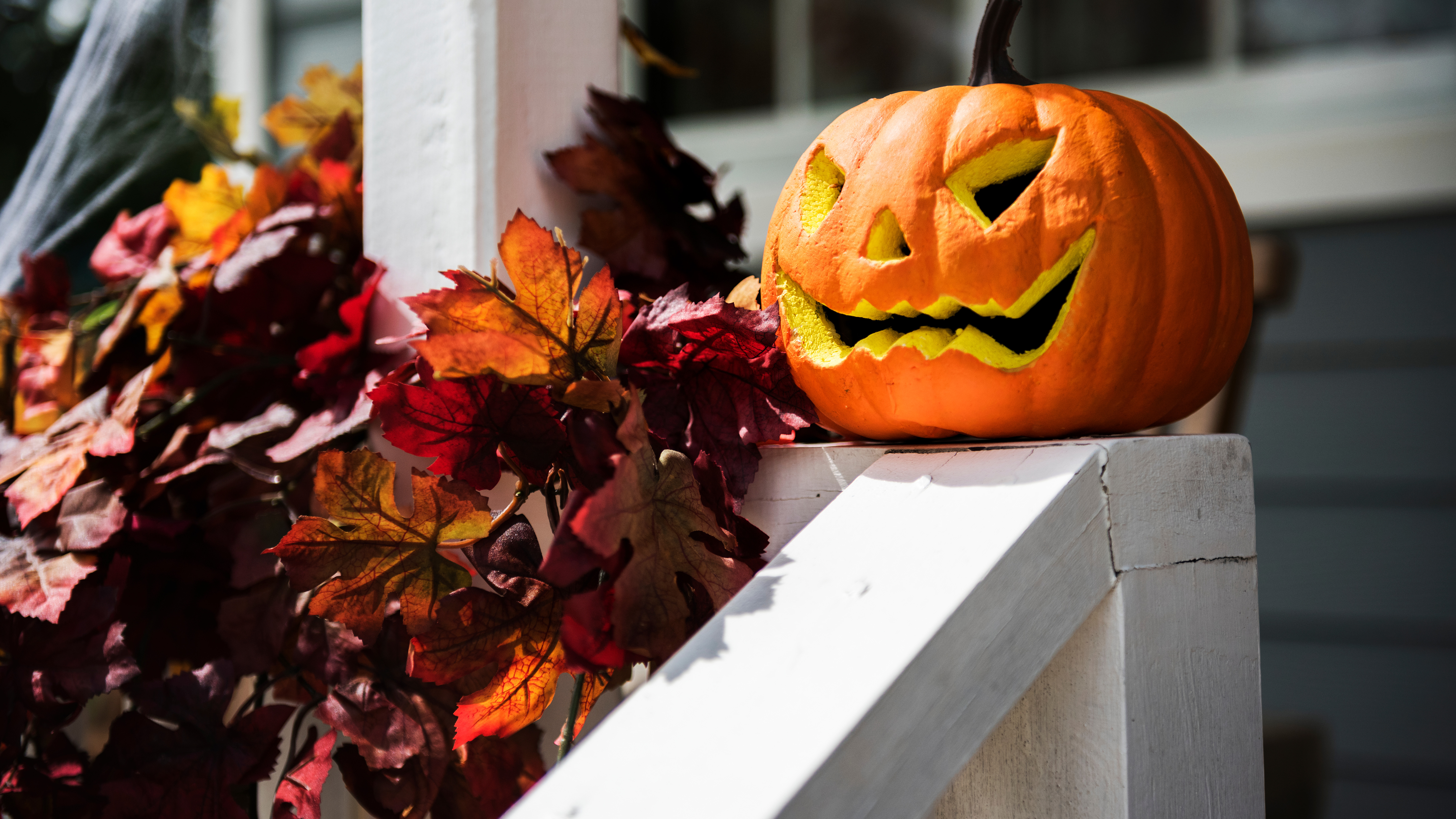 דלעת במרפסת
