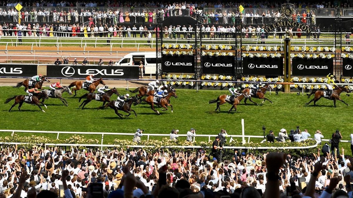 Without A Fight wins last year's Melbourne Cup ahead of Soulcombe and Sheraz