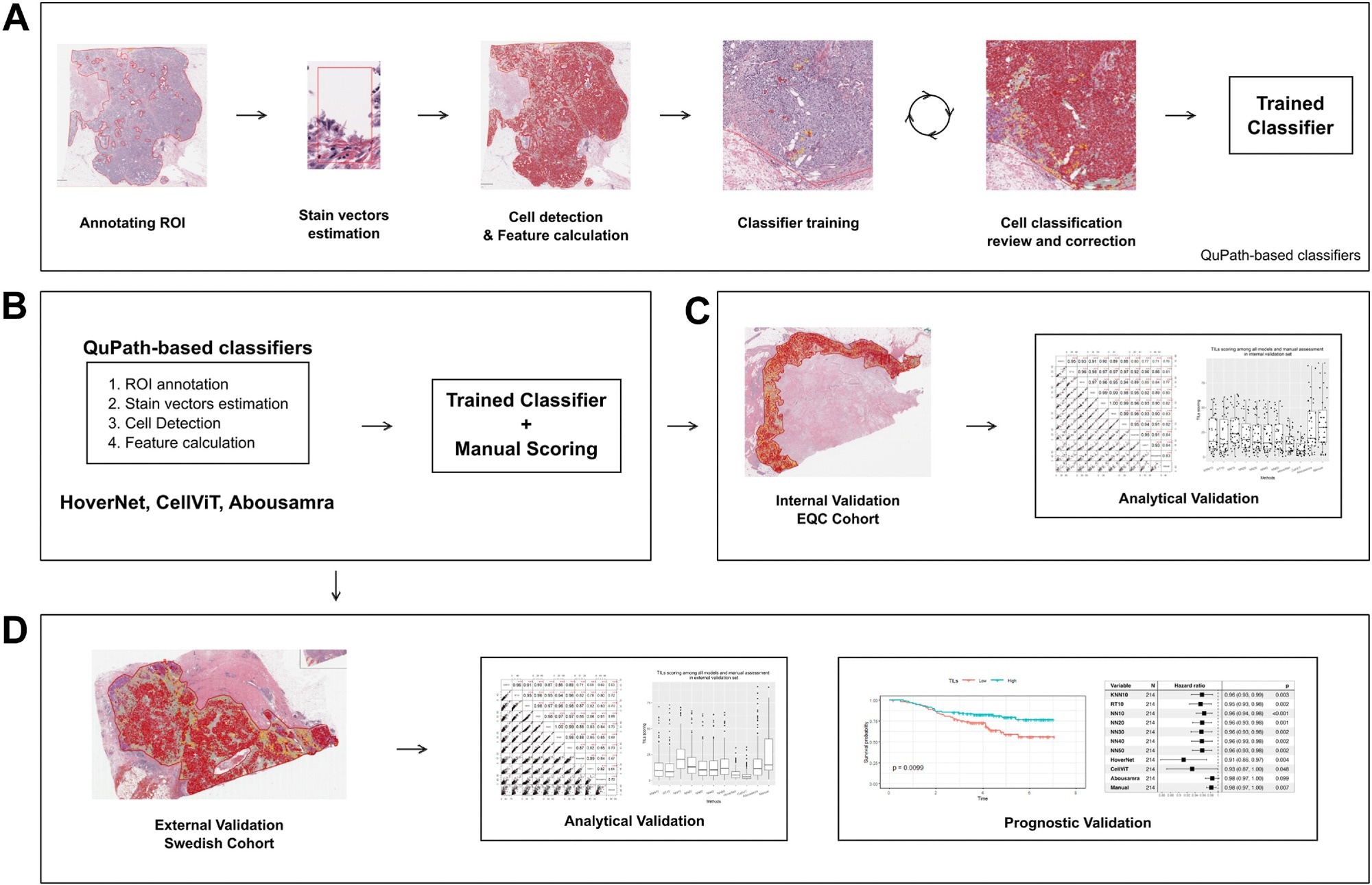 Digital image analysis flowchart for classifiers development and utilization. (a) Preprocessing and classifiers training pipeline (KNN10, RT10, NN10, NN20, NN30, NN40 and NN50). (b) Application of TILs models. (c) Analytical evaluation of the classifiers on the Yale internal validation set. (d) Prognostic evaluation in an independent validation set. Note that the “trained classifier” applied in sub-figures b-d is the one created in a, in addition to HoverNet, CellViT and Abousamra
