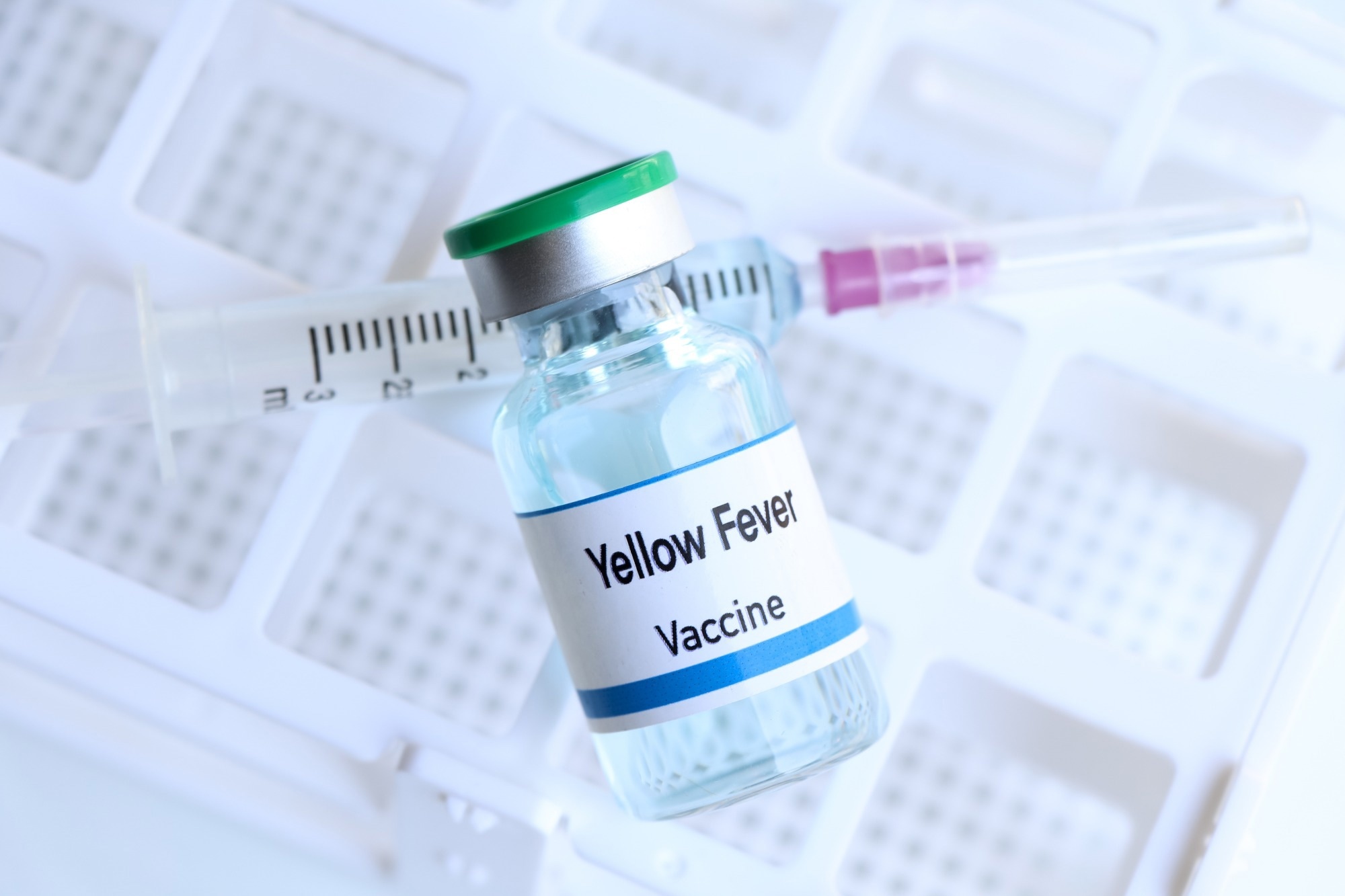 Study: Yellow fever breakthrough infections after yellow fever vaccination: a systematic review and meta-analysis. Image Credit: chemical industry/Shutterstock.com