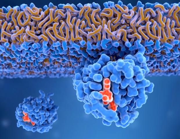 תגלית חדשה חושפת כיצד גנים מוטנטיים של ראס מניעים את צמיחת הגידול