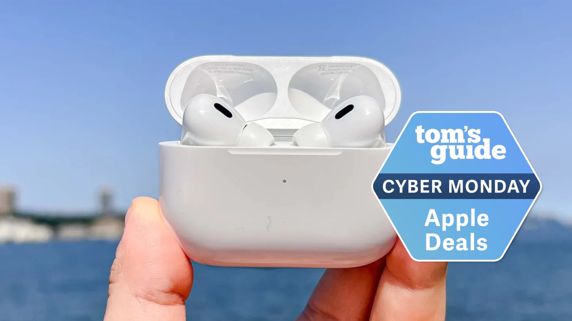 AirPods Pro 2 ביד 