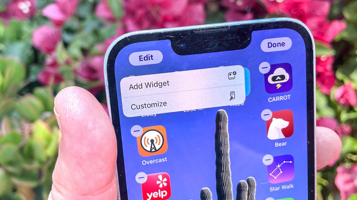 ל-iOS 18 יש קיצור דרך מסודר לשנות את גודל הווידג'טים של מסך הבית שלך - כך זה עובד
