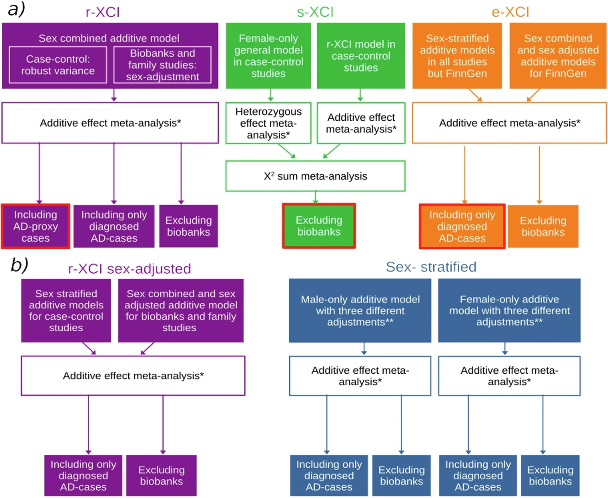 a ניתוחים עיקריים ו-b ניתוחי רגישות. צבעי הקופסה מציינים את הגישה: סגול, ירוק, כתום וכחול מייצגים גישות r-XCI, s-XCI, e-XCI וגישות מרובדות מין, בהתאמה. תיבות בעיגול אדום הן הניתוחים העיקריים של r-XCI, s-XCI ו-e-XCI. * מטא-אנליזה של אפקט קבוע עם גישה משוקללת השונות הפוכה כפי שהוטמעה ב- METAL. **מודלים מרובדי מין הותאמו על 1) רכיבים עיקריים (PC) ו/או מרכז הגנוטיפים; 2) מחשבים אישיים, מרכז וגיל; 3) מחשבים אישיים, מרכז, גיל ו-APOE.