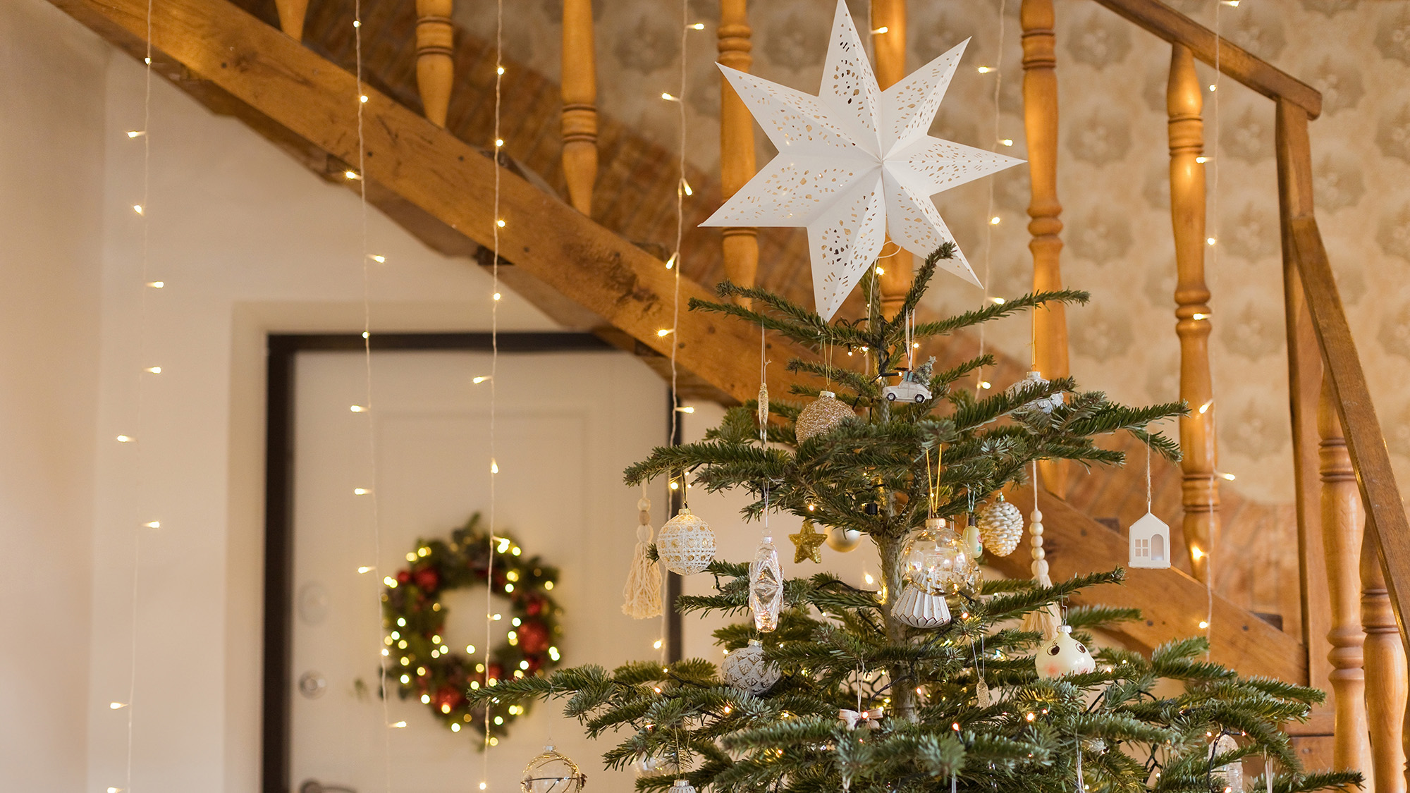 עץ חג המולד במסדרון