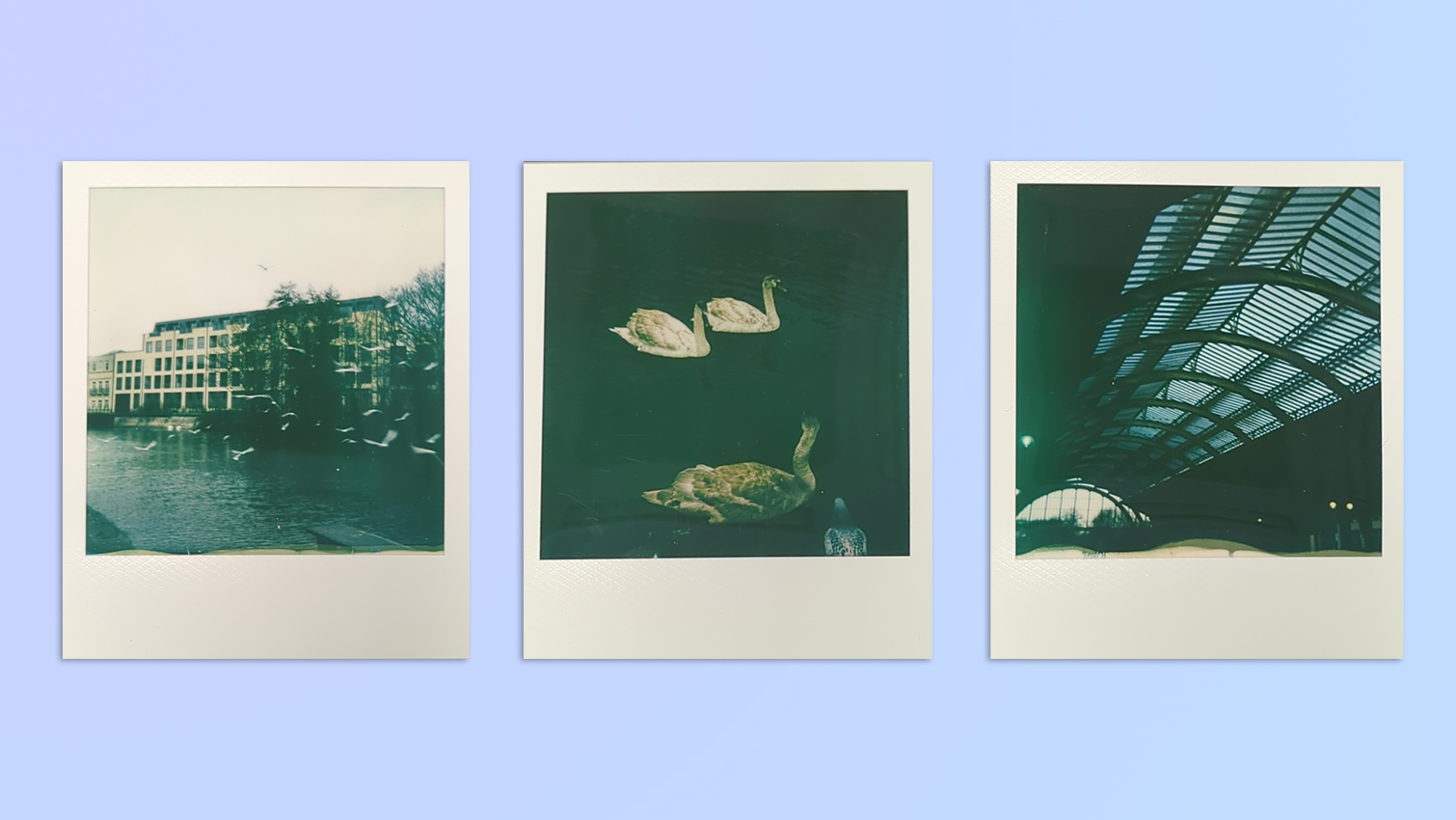 אוסף תמונות שצולמו במצלמת Polaroid Now+ Gen 2 מיידית