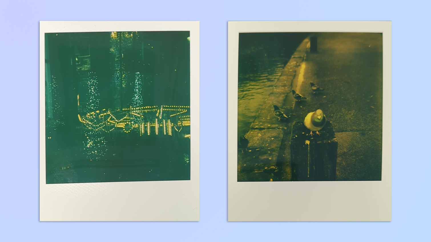 אוסף תמונות שצולמו במצלמת Polaroid Now+ Gen 2 מיידית