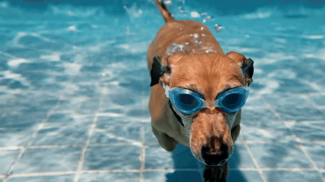 Google Veo 2 הוא אחד מדגמי וידאו AI הטובים ביותר שראיתי אי פעם - הנה 5 דוגמאות למה שהוא יכול לעשות