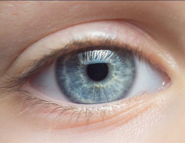 מימון פדרלי מגביר את המאמץ להפוך השתלות עיניים למציאות