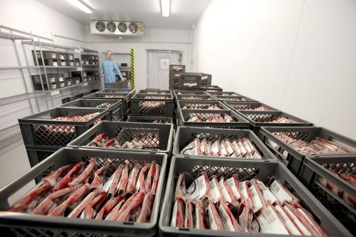 נוסחה חדשה מנבאת יכולת אספקת חמצן של תאי דם אדומים