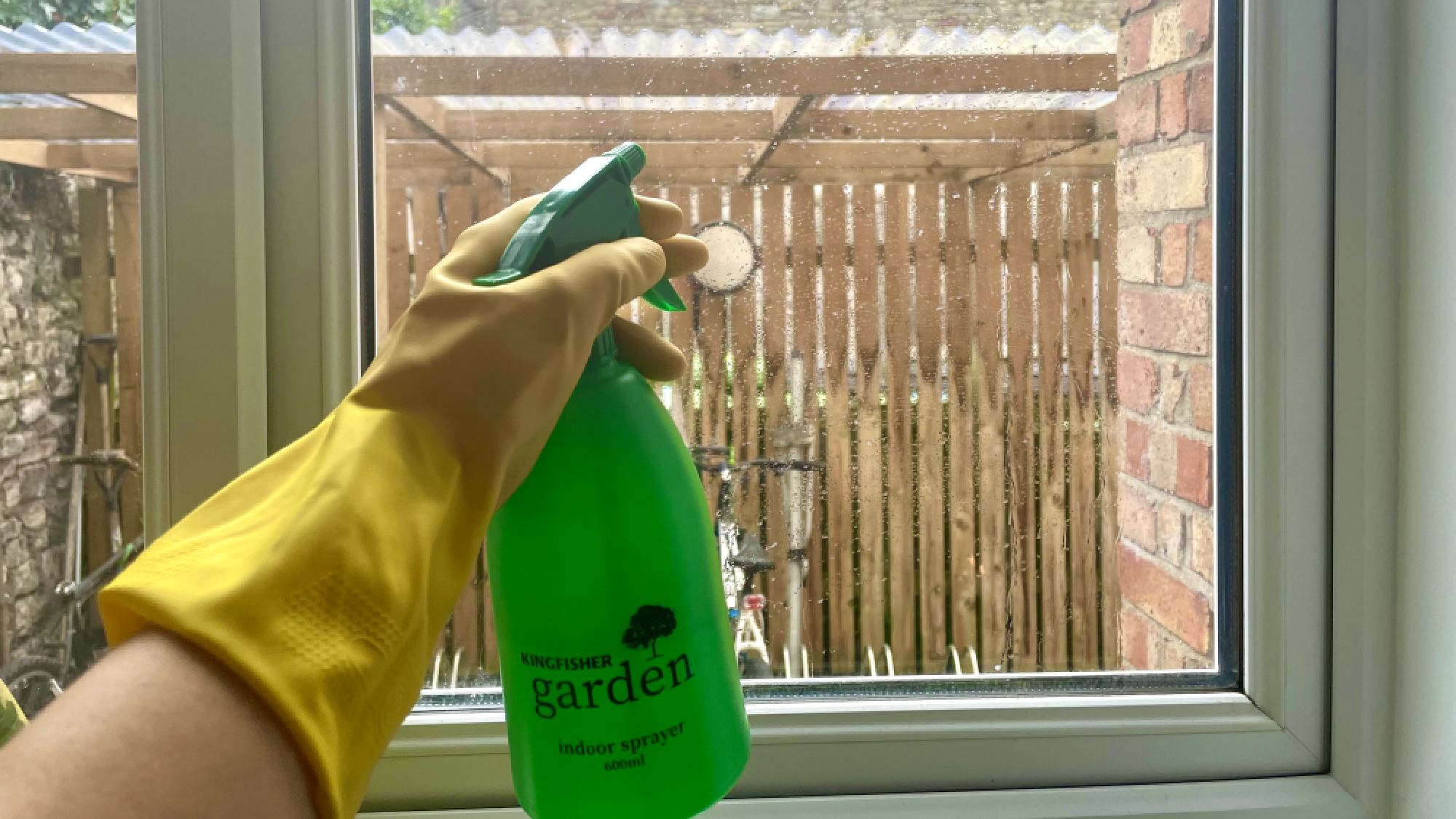 ניקוי חלון פנים