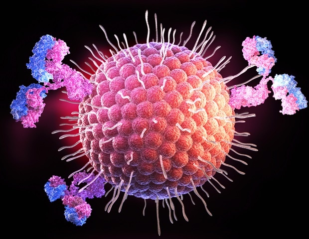 BIOHIT מבטיחה את זכויות ההפצה האירופיות עבור בדיקות הפפטידים האימונוגניים לגלוטן של Biomedal