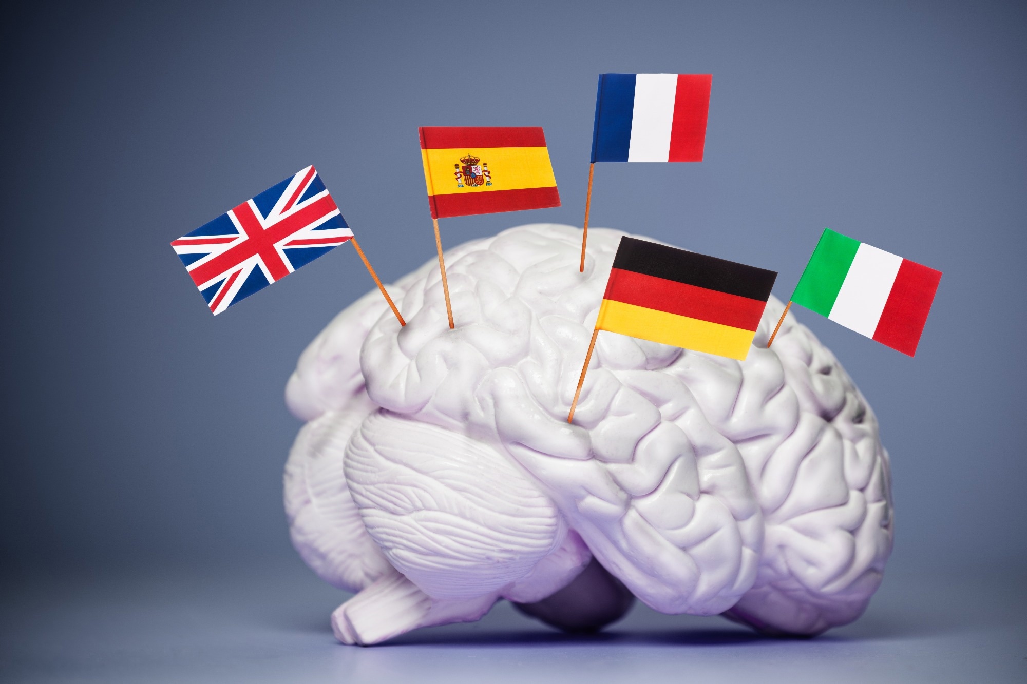 Multilingual smart brain education school concept with English, French, Germany Spanish, Italian flags