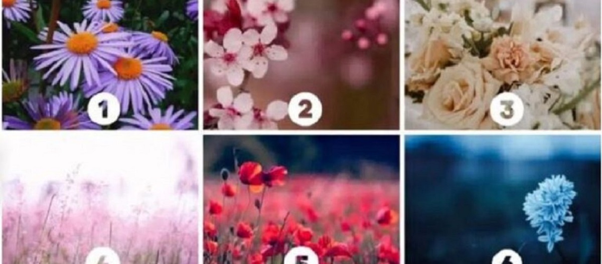 מבחן אישיות