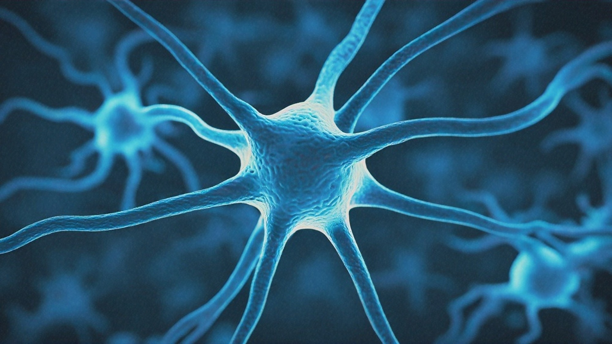 מחקר קושר בין נוירונים בהיפוקמפוס להשמנה והרגלי אכילה