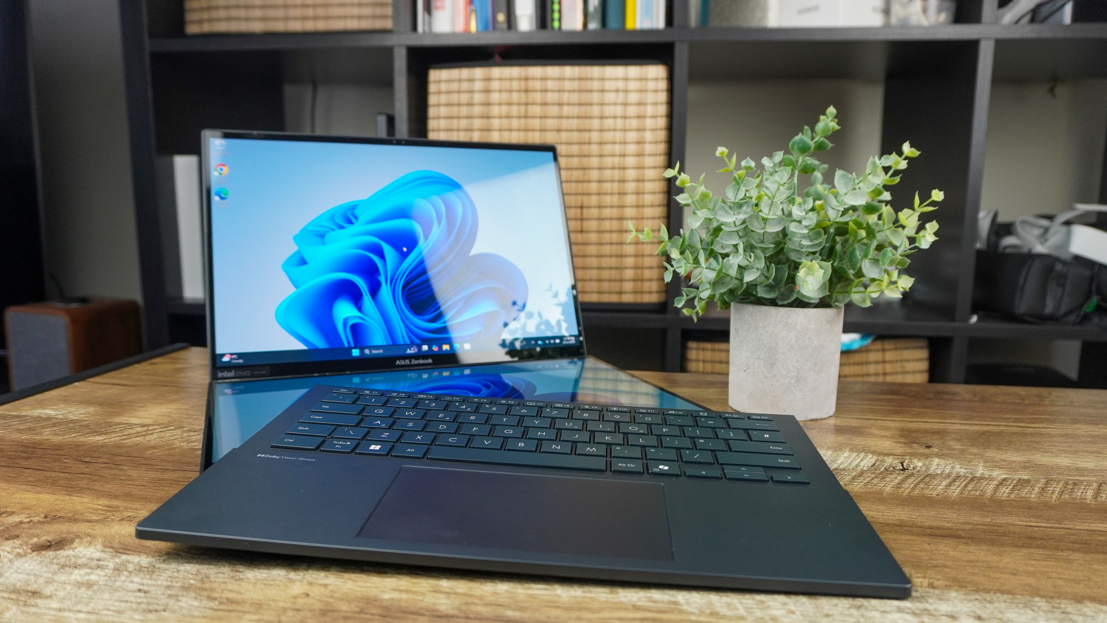 צמד Asus Zenbook (2025)