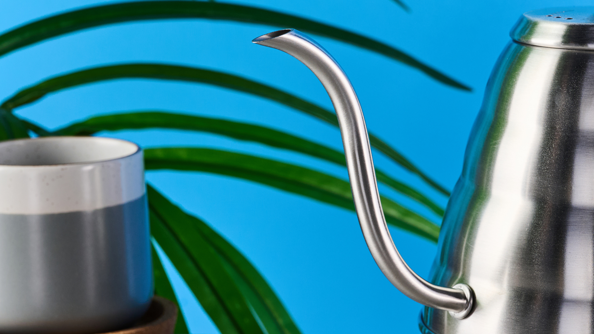 Hario v60 Buono Gooseck Kettle, קומקום נירוסטה עם בסיס חשמלי, ידית, זרבובית אווז, לקפה מיוחד