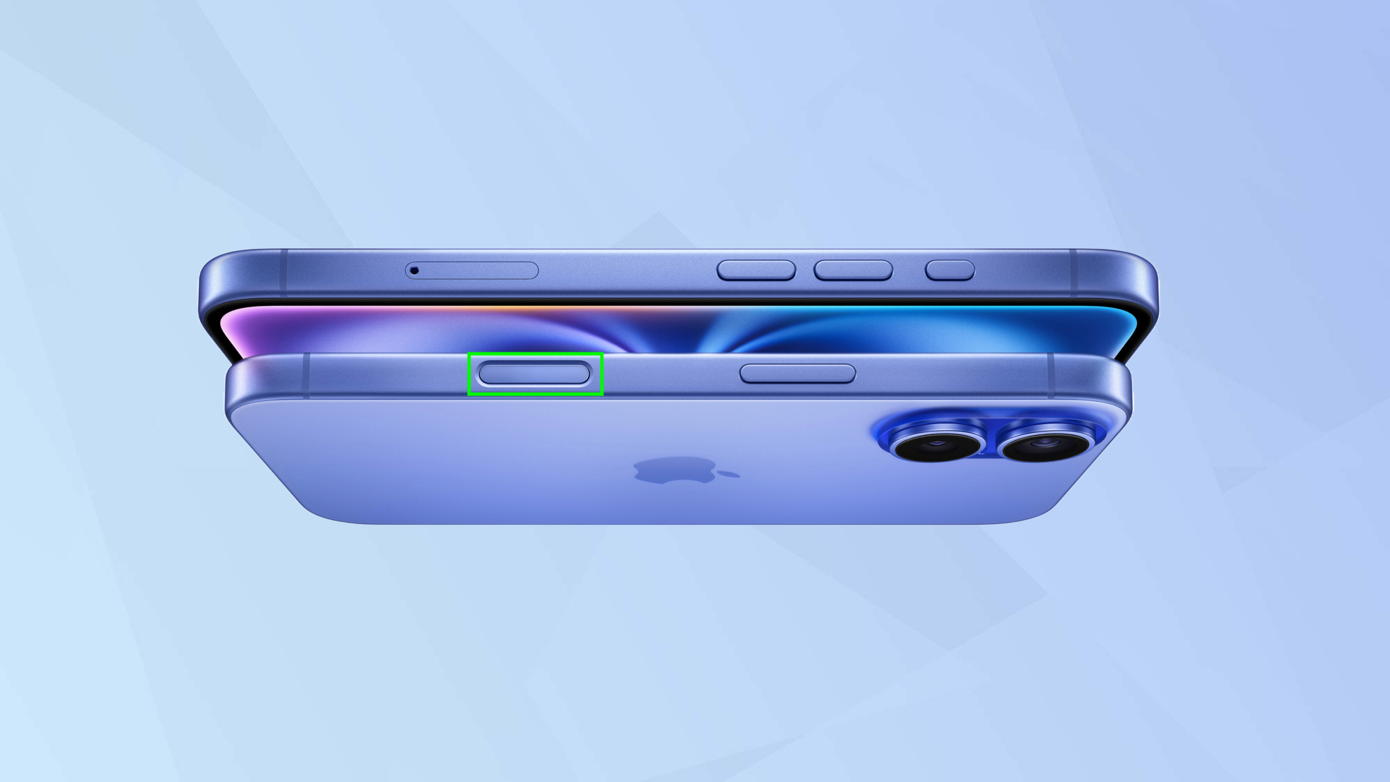 כיצד לזהות צמחים ובעלי חיים באמצעות אינטליגנציה חזותית באייפון