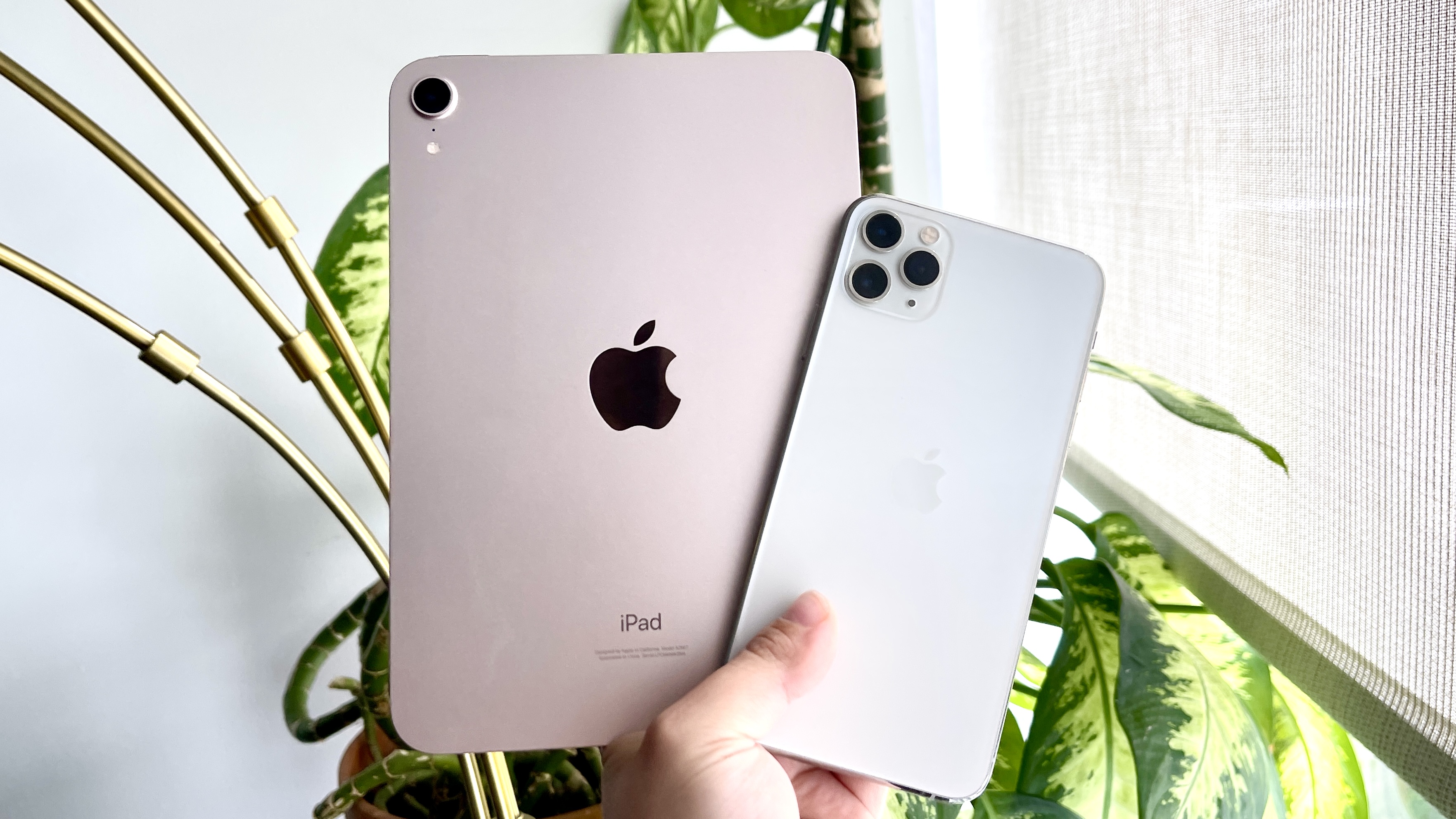 iPad Mini 6 ו- iPhone 11 Pro Max
