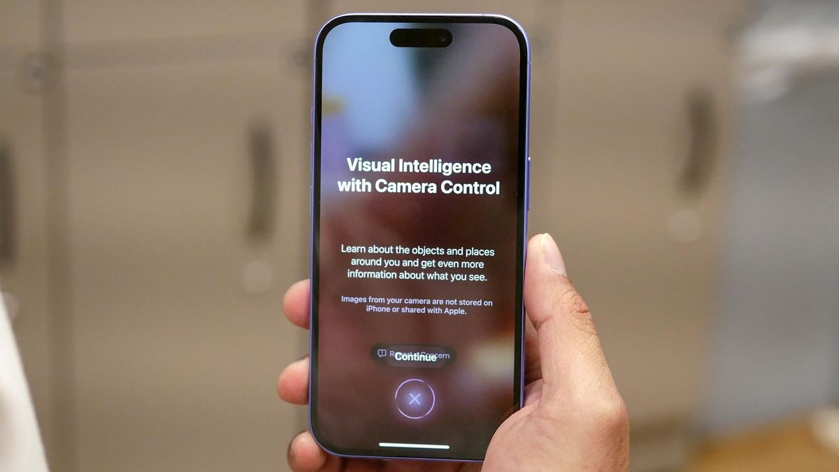The initial splash screen that displays when opening up Apple Visual Intelligence for the first time. It reads "Visual Intelligence with Camera Control - Learn about the objects and places around you and get even more information about what you see. Images from your camera are not stored on iPhone or shared with Apple."