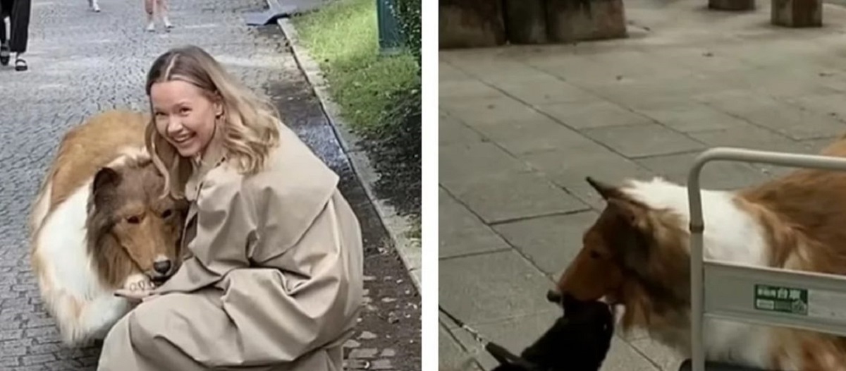 יפני זה נכנס לשלב חדש בחייו