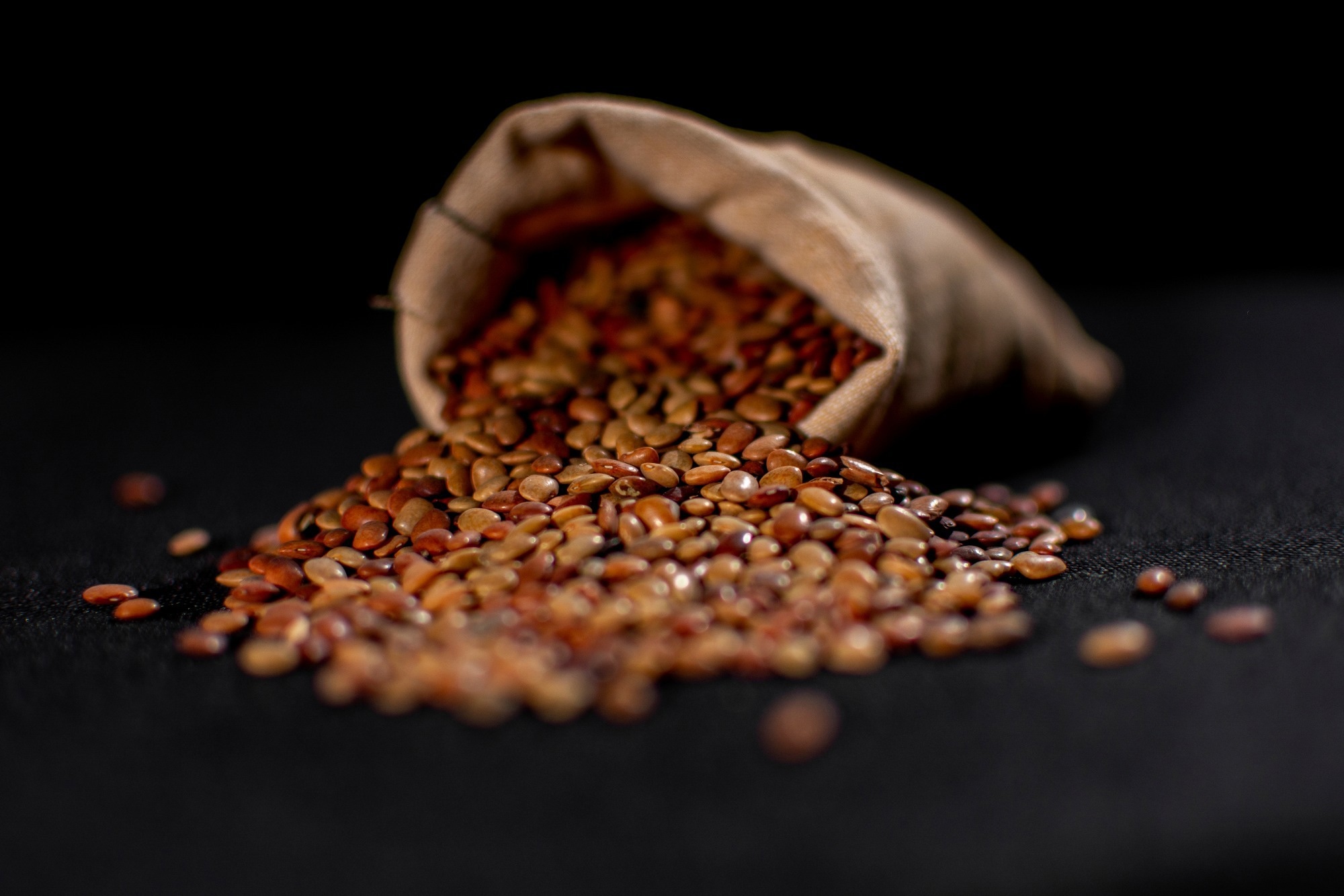 סוס גרם. קרדיט תמונה: KV Naushad / Shutterstock
