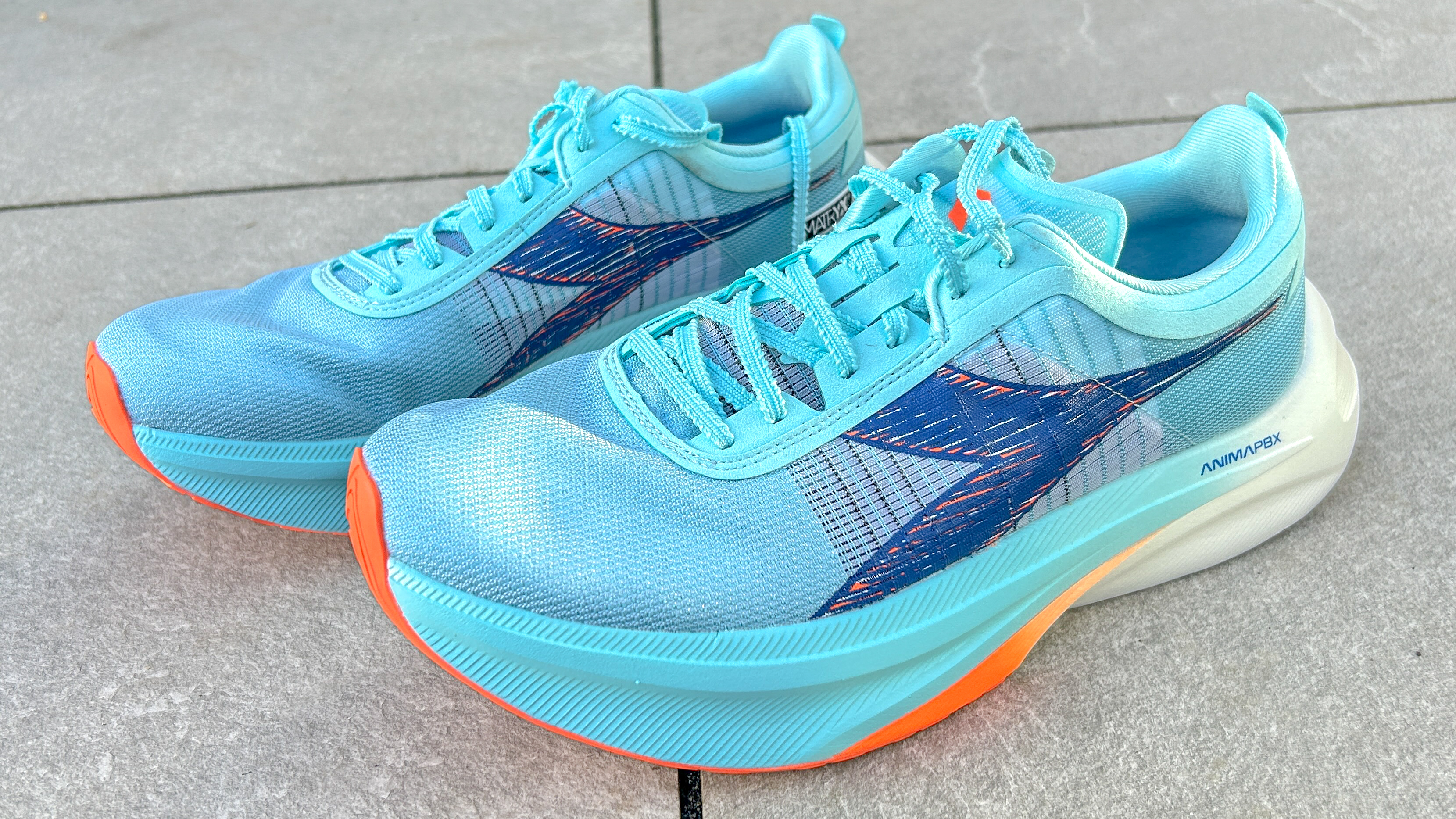 דיאדורה גארה פחמן 2