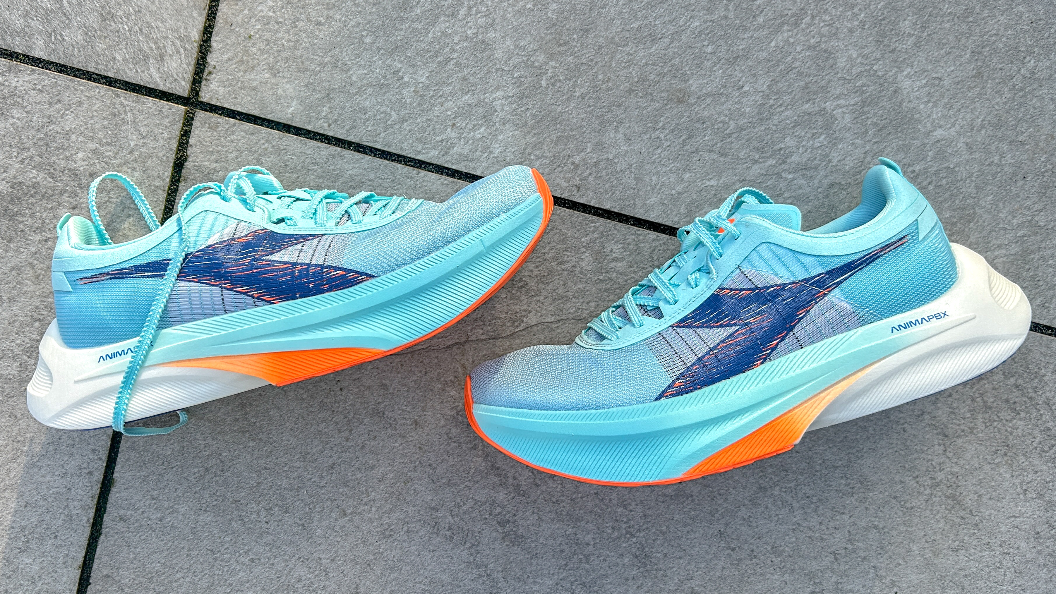 דיאדורה גארה פחמן 2