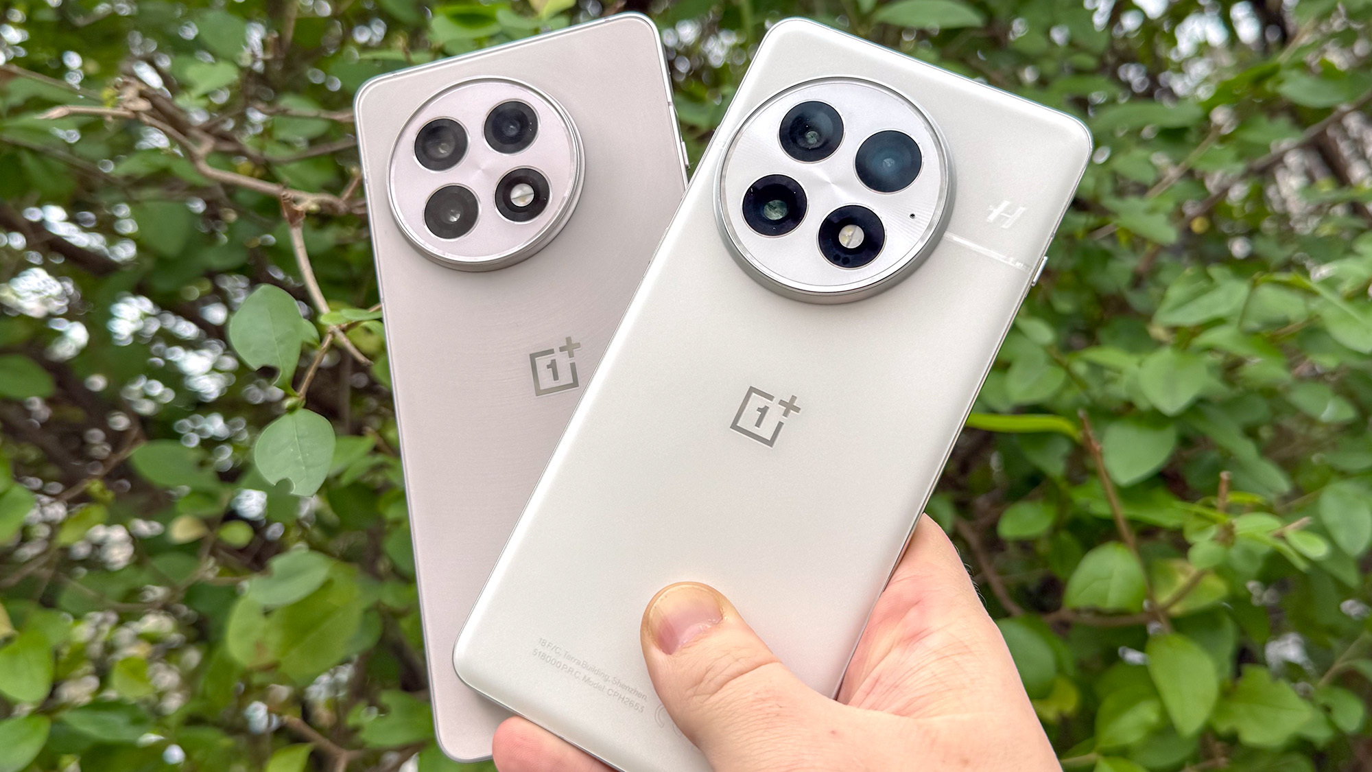 OnePlus 13 ו- OnePlus 13R