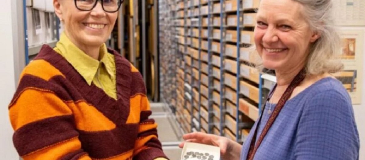 ארכיאולוגים בשבדיה