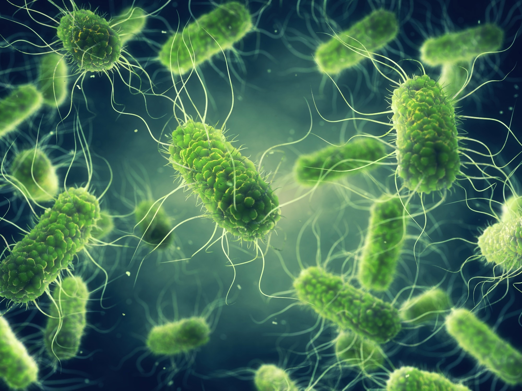 Study: Attribution of Salmonella enterica to Food Sources by Using Whole-Genome Sequencing Data. Image Credit: nobeastsofierce / Shutterstock