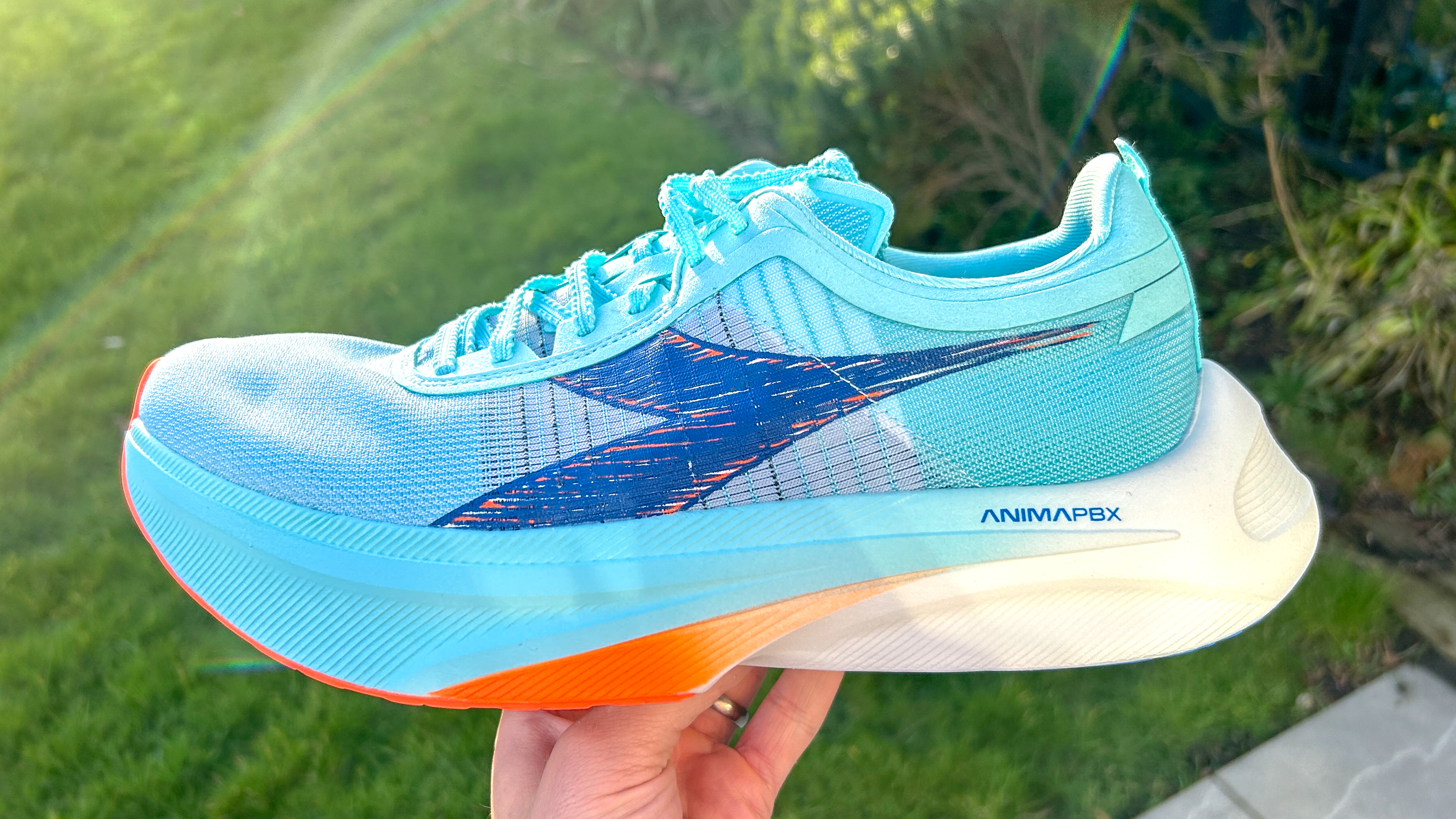 דיאדורה גארה פחמן 2