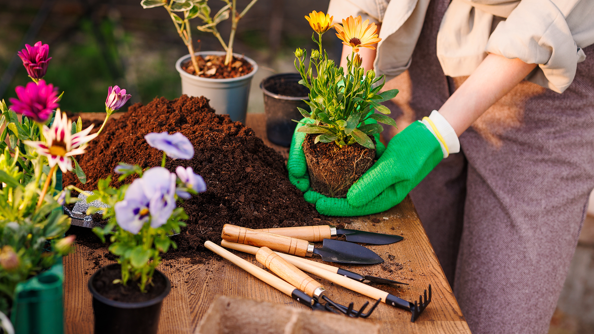Garden planting tools