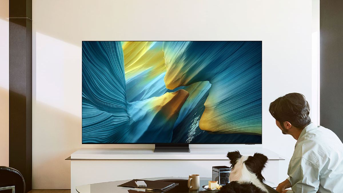 Samsung S95F OLED TV