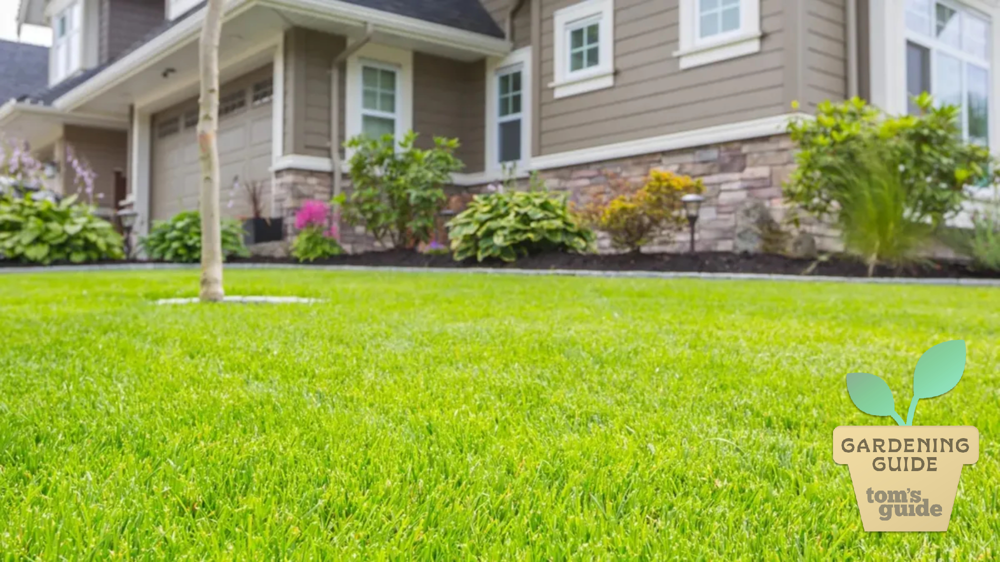 Front yard with green lawn