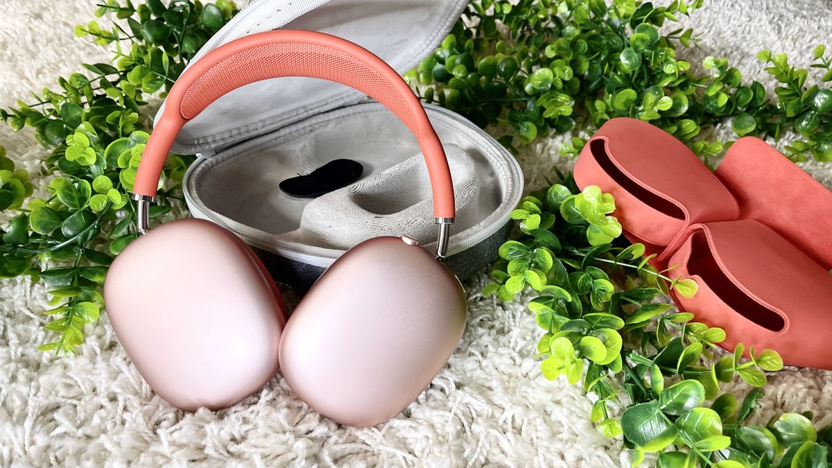 Apple AirPods Max accessory case