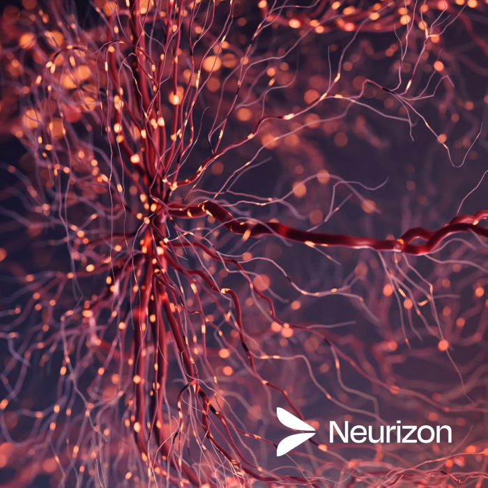 NUZ-001 מציג תוצאות חיוביות במודל המוח התלת-ממדי האנושי